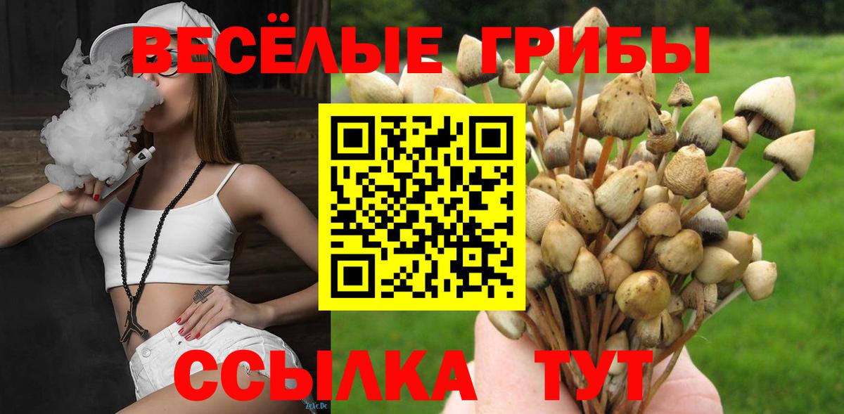 Галлюциногенные грибы ЛСД Новоалександровск